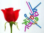 متعهدو حفلات