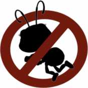 مكافحة حشرات