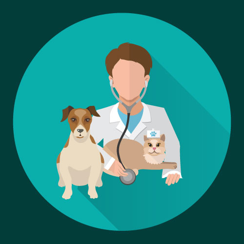 غريب للتجاره البيطريه 